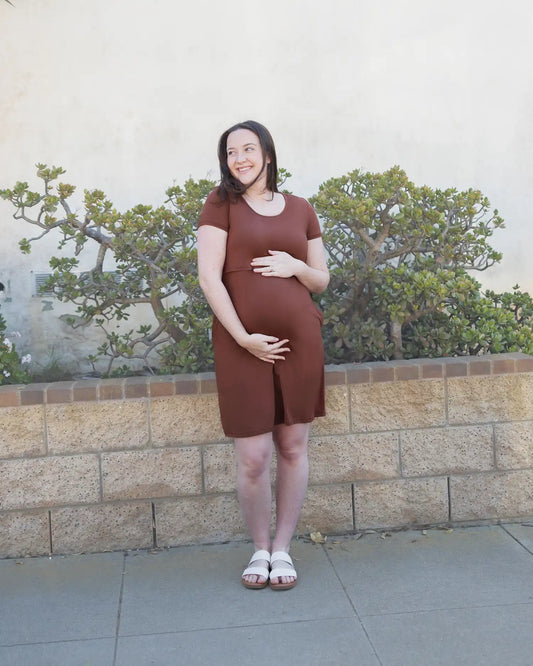 Eleanora Bamboo Maternity & Nursing Dress | Redwood